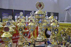 Відкритий Кубок України з кіокушинкай карате
