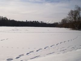 ДВРЗ, озеро Лісове взимку, фото Ірини Шевченко