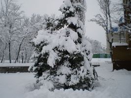 Київ, зима на ДВРЗ