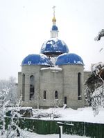 Київ, зима на ДВРЗ