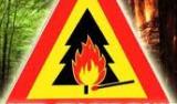 Бережіть ліс від вогню!