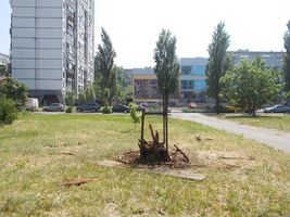 У Києві на Березняках вкрали скульптуру