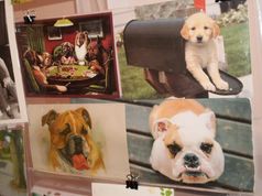 Виставка листівок про собак
