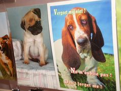 Виставка листівок про собак