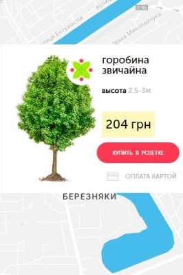 У сквері Миколайчука посадили дерева від Розетки