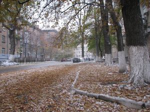 Рання зима в Києві