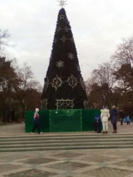 Ялинка в парку Перемоги