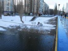 Стоит ли кормить диких уток?  Русановский канал в Киеве