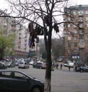 В Киеве массово развесили мужские галстуки