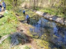 Частину річки Дарниця очищено від накиданого киянами сміття