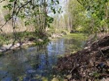 Частину річки Дарниця очищено від накиданого киянами сміття