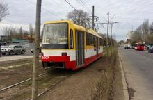 В Одесі за маршрутом трамвая створили `зелений тунель`