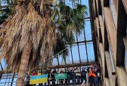 У київському ботсаду зацвіла 200-річна пальма