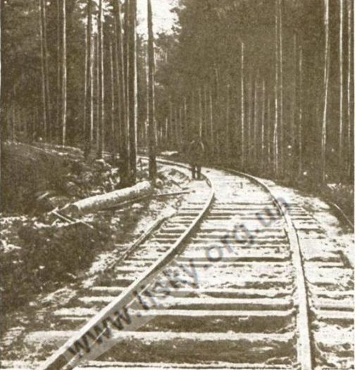 Через сосновий бір прокладено залізницю до місця побудови цехів вагоноремонтного. Фото С.Рубінштейна