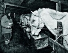 Українець в антарктичній експедиції Роберта Скотта