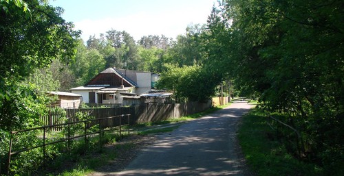 На вулиці селища Дарницького лісництва