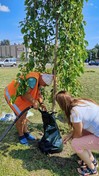 На Березняках тестують новий для Києва спосіб поливу дерев