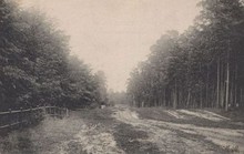 Вулиця Лісова у 1910-х роках