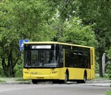 18 листопада буде змінено маршрути автобусів NN49, 61, 87, 95