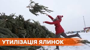 На Русанівці та Березняках прийматимуть новорічні дерева