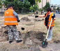 В парковій зоні по вулиці Березняківській пройшла толока