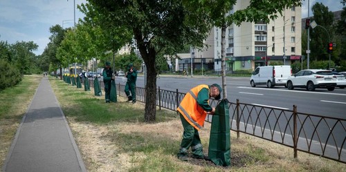 Мішки для поливу дерев встановлять по всьому місту