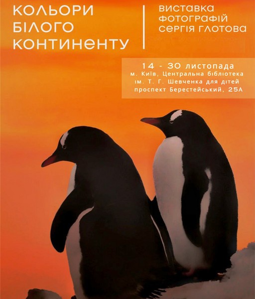 Кольори білого континенту в дитячій бібліотеці