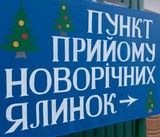 Відсьогодні в Києві працюють 78 пунктів прийому новорічних дерев