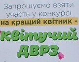 Конкурс на кращий квітник ДВРЗ
