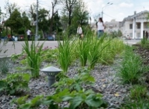 22 травня — Міжнародний день біологічного різноманіття