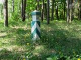 У місцевості ДВРЗ сфотографували рідкісного гриба