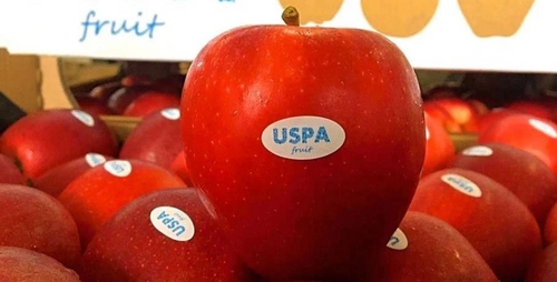 Українські яблука готові їхати до Канади Українські яблука готові їхати до Канади