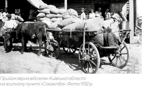 Прийом зерна від селян Київської області на зсипному пункті «Союзхліба». Фото 1932 р. Прийом зерна від селян Київської області на зсипному пункті «Союзхліба». Фото 1932 р.