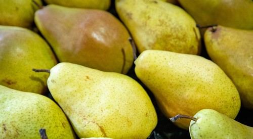 Ярмарки Ярмарки