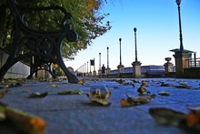 Одеса прощається з осінню Одеса прощається з осінню