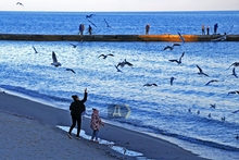 Одеса прощається з осінню Одеса прощається з осінню