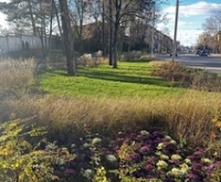 Сквери на Алматинській у місцевості ДВРЗ