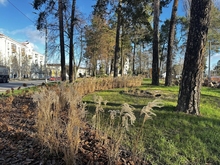 Сквери на Алматинській у місцевості ДВРЗ