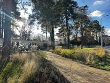 Сквери на Алматинській у місцевості ДВРЗ