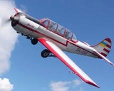 Льотчики проти дронів: одеська ескадрилья за добу знищила рекордну кількість шахедів