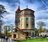 День відкритих дверей у Музеї Ханенків