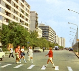 Петиція про перейменування бульвару Бучми на Березняках у Києві