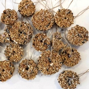 Допомога птахам взимку