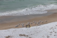 Як виглядають пустельні та засніжені пляжі Одеси