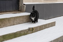 Як виглядають пустельні та засніжені пляжі Одеси