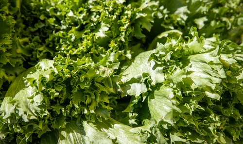 Ярмарки Ярмарки