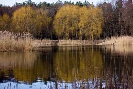 Березень у Києві став найсухішим за всю історію спостережень Березень у Києві став найсухішим за всю історію спостережень
