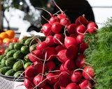 Ярмарки Ярмарки