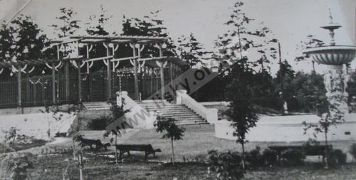 Уривки з книги про історію ДВРЗ