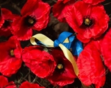 Річниця перемоги у Другій світовій війні